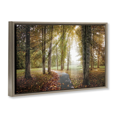 Cadre flottant «Follow The Light Forest Path», conception par la galerie Celebrate Life