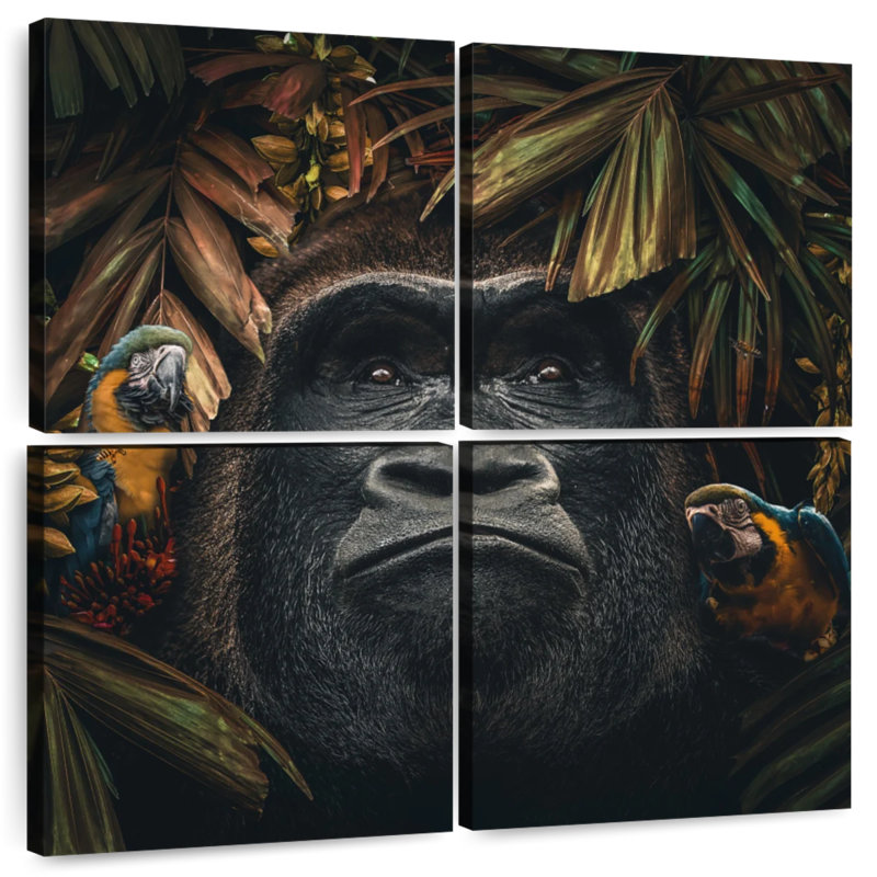 Brampt Gorilla II, 18" H x 18" W