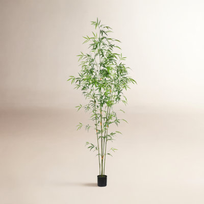 96" Bamboo Tree in Pot