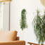Fausse plante d'intérieur lierre artificiel Pothos d'intérieur