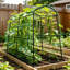 222cm H x 120cm W Iron Arched Trellis