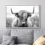 Animaux - Shetland noir et blanc-94585404-94585408