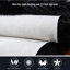 Ismene Solid Colour Shag Area Rug-846224126-909713855