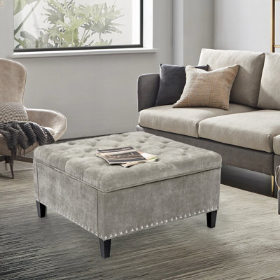 Nelda 29.5'' Wide Tufted Square Storage Ottoman -  Alcott HillÂ®, EE6DB62BD93C4358BD96F48D53C3F3F8