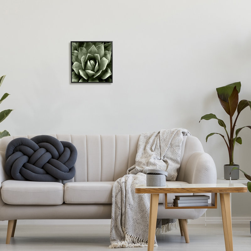 «Succulent Plant Close Up View» encadré sur bois par Lindsay Benson, peinture, Giclée encadrée noir minuit