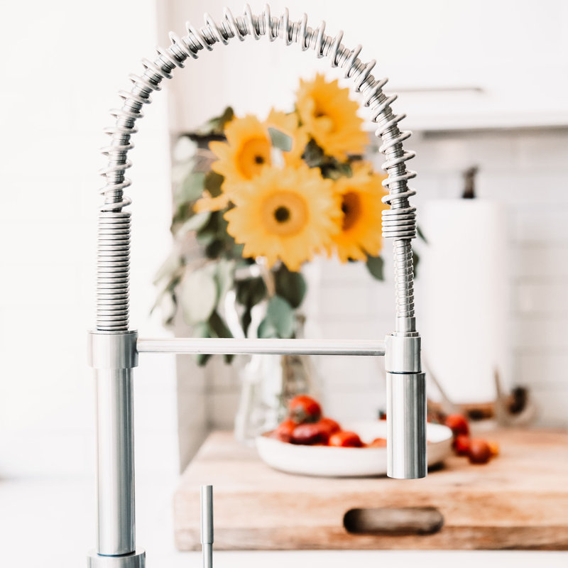 Sierra Pull Down Single Handle Kitchen Faucet with Side Spray and Accessories, Stainless Steel