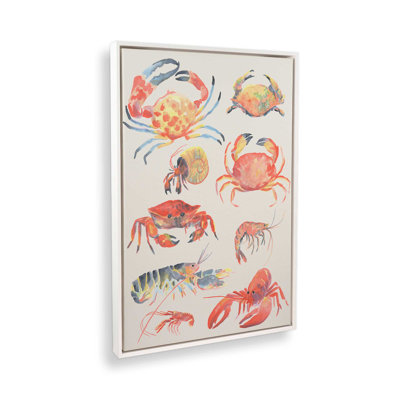 «Crustacean Collection I» par June Erica Vess, reproduction d'art