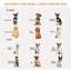Barrière pour animaux pliable et autoportante-2032690540-2032690541