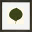 Small Pressed Leaves V Print