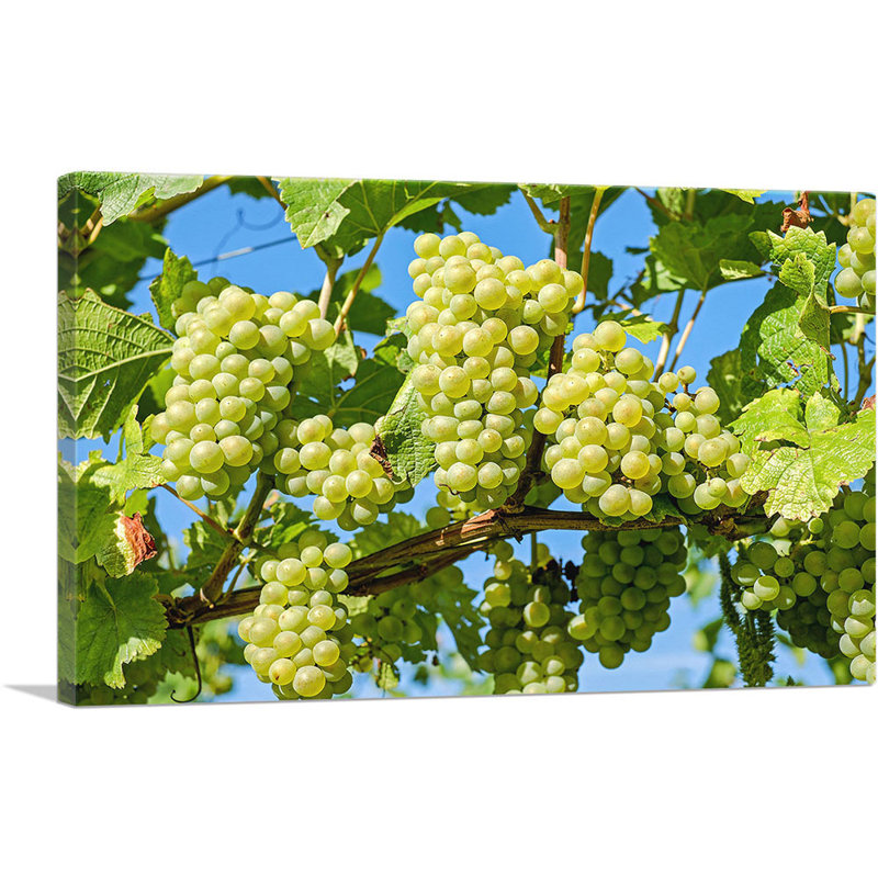 " Green Grapes Home Decor ", 18" H x 26" W x 1.5" D