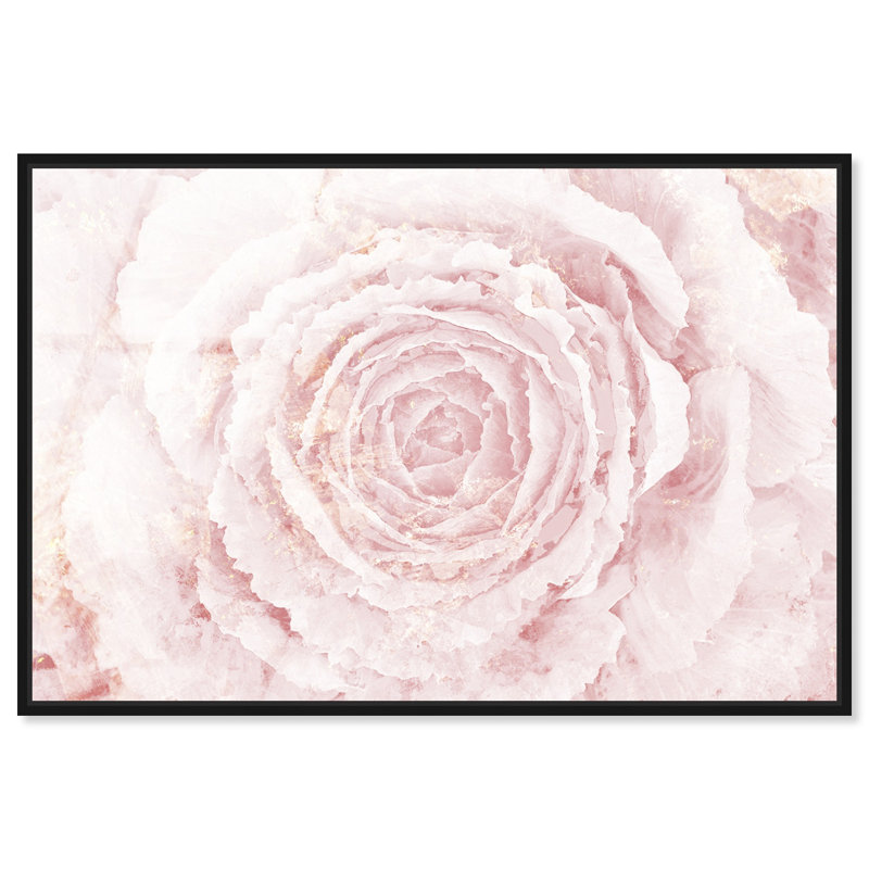 Oliver Gal Blush Winter Flower Pink Floral & Botanical - Framed Acrylic Glass Wall Art, Black, 31" H x 46" W