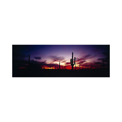 Brilliant Sunset, Saguaro National Park, Pima County, Arizona, USA - Wrapped Canvas Panoramic Print