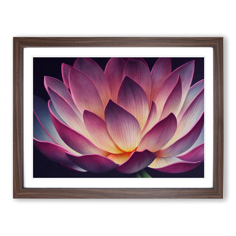 Cool Lotus Flower - Framed Print, 46cm H x 64cm W x 2cm D, Walnut Framed