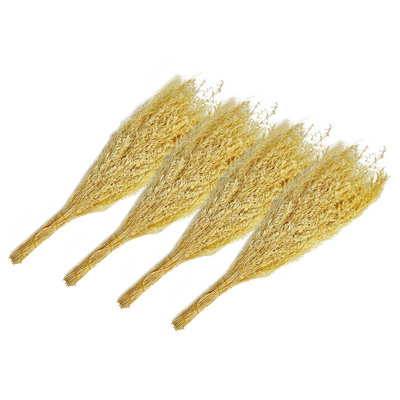 Bundle of 4 Dried Preserved Valentin Grass Bouquet 21"