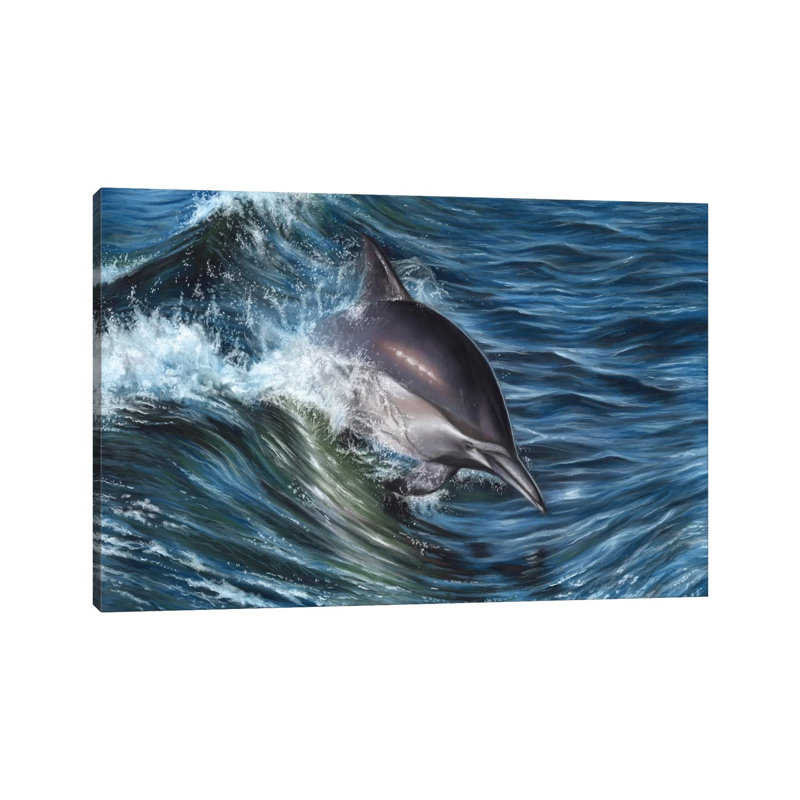 Dolphin by Richard Macwee - Wrapped Canvas Print, 20.32 cm H x 30.48 cm W