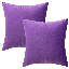 Ensemble de 2 housses de coussin en velours de couleur unie-1405445889-1442569433-1454408152