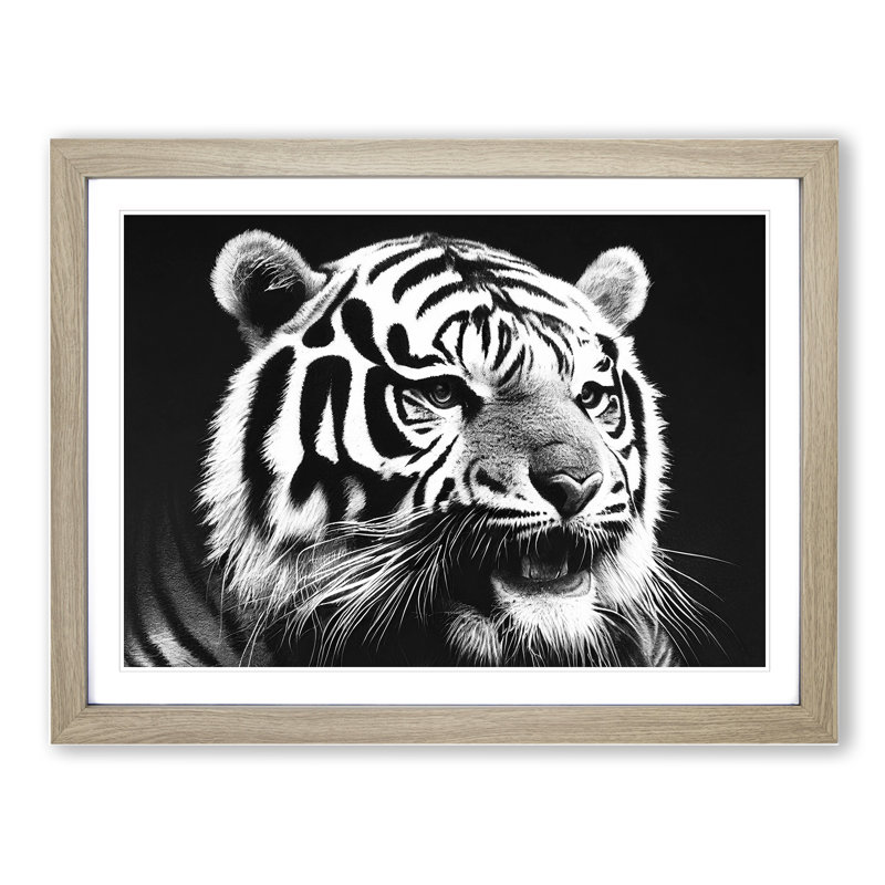 Monochrome Tiger Vol.1 - Framed Print, 46cm H x 64cm W x 2cm D, Oak Framed