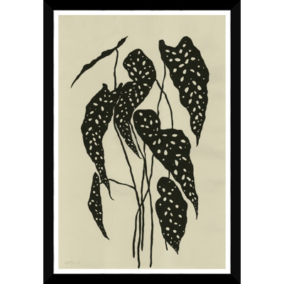 Begonia Print by Susan Hable