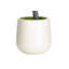6ft Artificial East Ficus Tree - Faux Green Plant in White Decor Pot, Indoor Floor Decor, Low-Maintenance-123297744-123297746