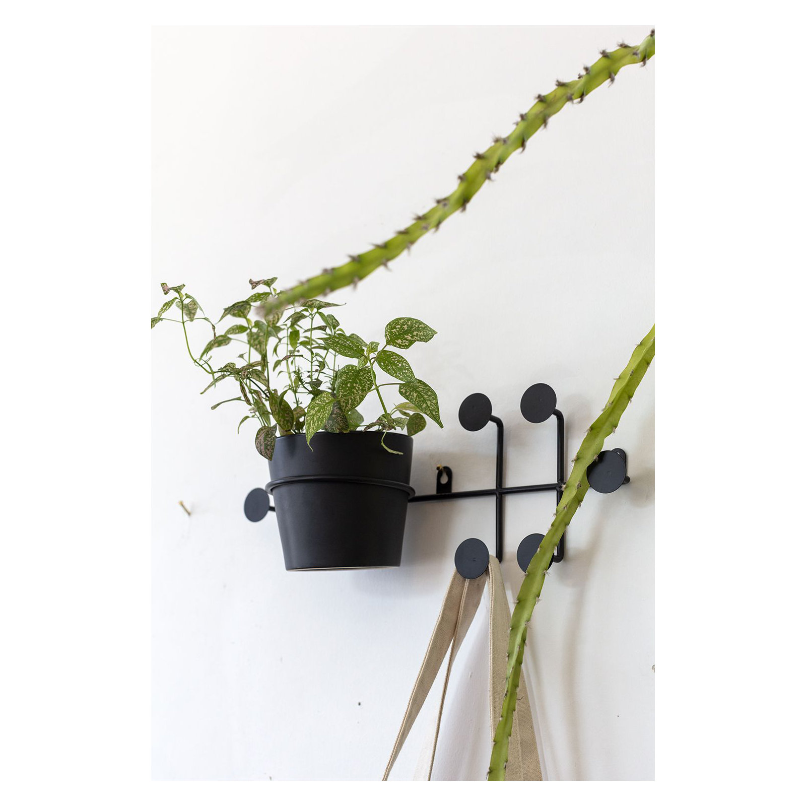 Angelina Ceramic Wall Planter