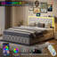 Rishi Upholstered Storage Bed-449527973