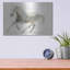 «Stallion II Horizontal» par James Wiens