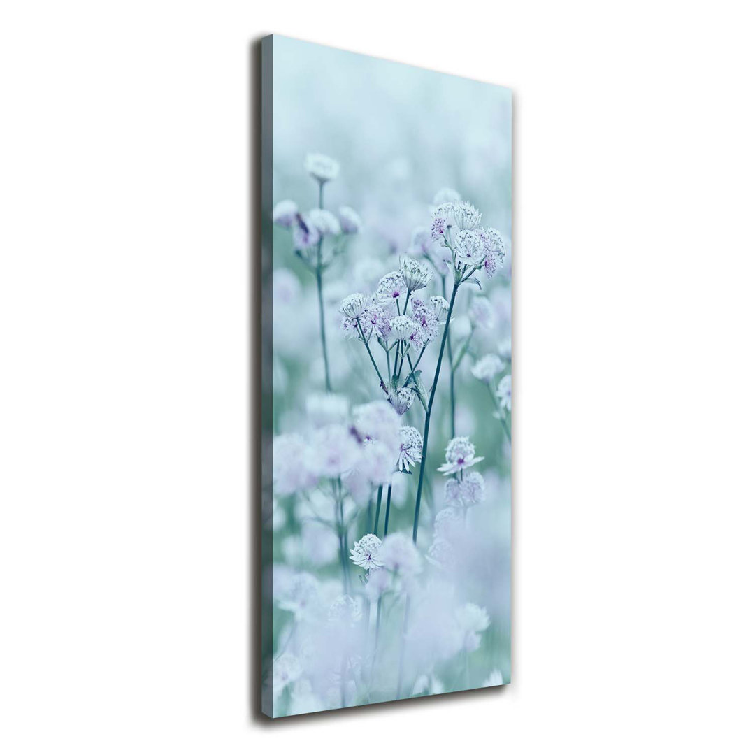 Astrantia - Kunstdrucke auf Leinwand - Wrapped Canvas