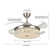 Alifonso 42 Inch Ceiling Fan Light 3 Dimmable Colour Temperature With Remote Control
