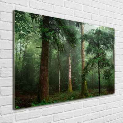 Fog In The Forest - Print