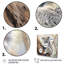 Koala Serenity II sur toile-1055851997-1055851996