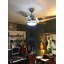 Malicai Ceiling Fan with LED Lights-1541744046