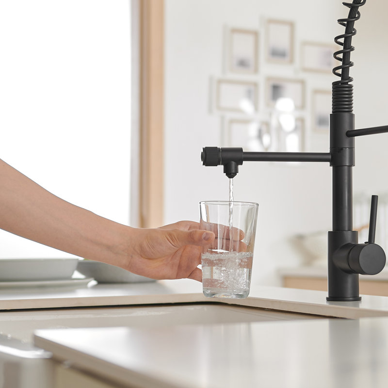 HHK HOME Kitchen Faucet, Matte Black