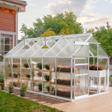 Serre en polycarbonate 6 pi x 12 pi avec cadre en aluminium