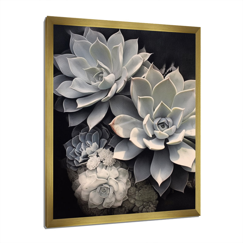 «Grey White Resilience Succulent», reproduction sur toile, Encadrement doré, H 20 po x l 12 po x P 1 po