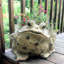Pot à fleurs statue "Toad Hollow" Classic-1485330522