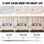 Plastic LED Flush Mount