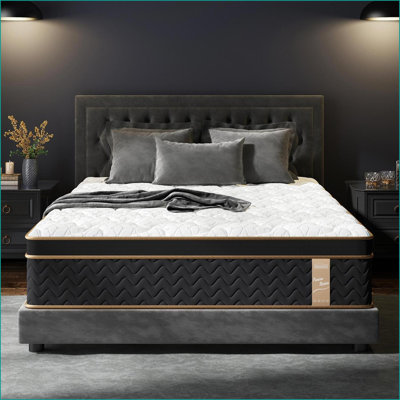 Mattresses 10'' Queen Plush Hybrid with Encased Coils & Gel Memory Foam, Fiberglass-Free, Motion Isolation, Edge Support
