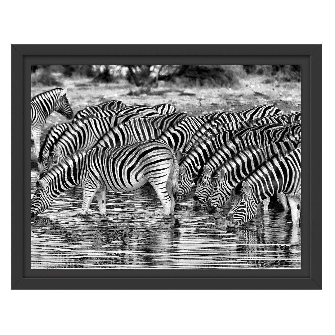 Gerahmtes Wandbild Zebras Safari Afrika