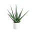 17,5 po Agave artificiel