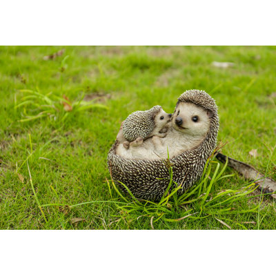 Mother and Baby Hedgehogs on Back