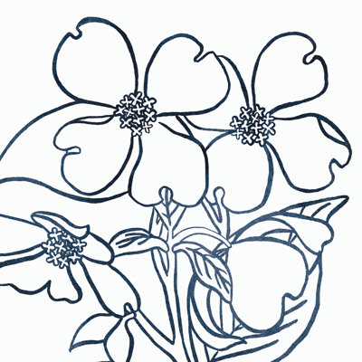 Print on Canvas