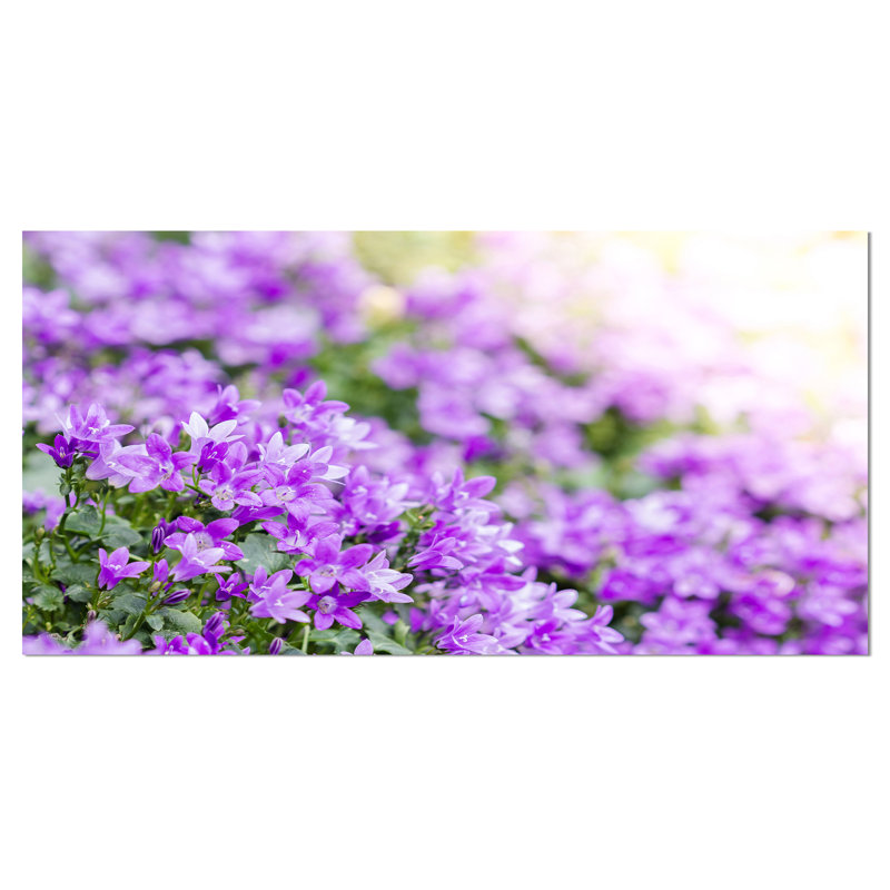 «Beautiful Campanula Flower Bouquet», reproduction de photo sur toile tendue, H 16 po x l 32 po