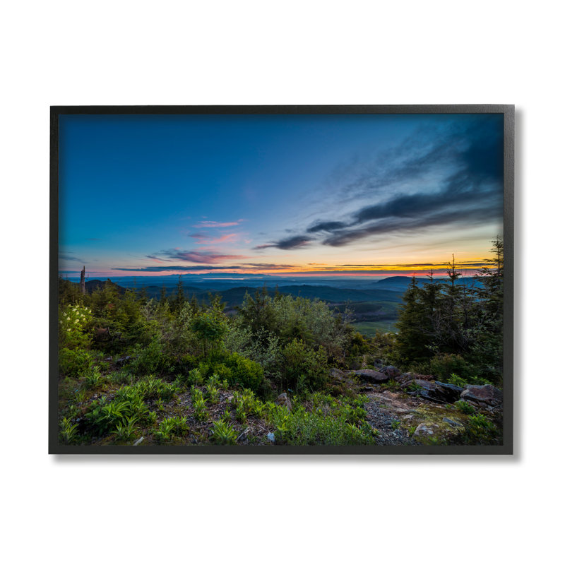 «Dense Brush Sunset Landscape Blue Sky Modern», H 16 po x l 20 po, Giclée encadrée noir minuit