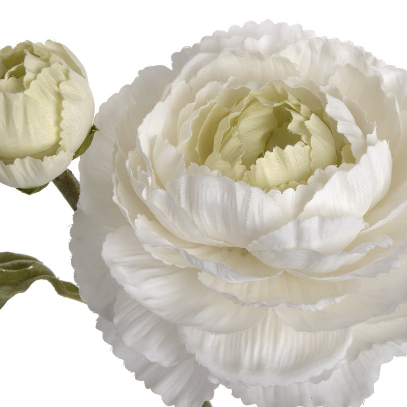 Arrangement, White