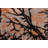 Dortly One-of-a-Kind 6' X 8'9" Wool Area Rug