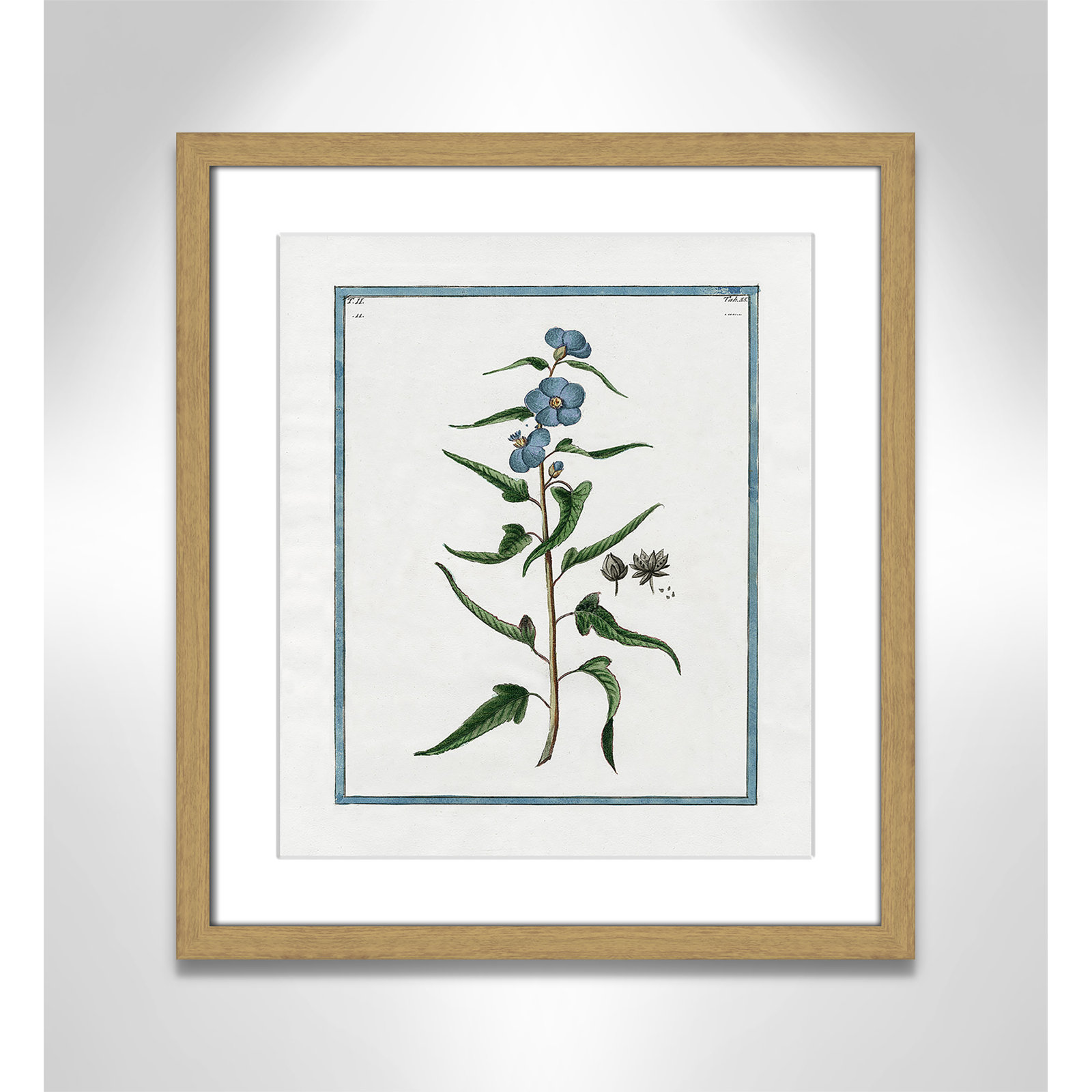 Colombe "Shabby Elegance Botanical I" Print, 13" W x 15" H, Natural Framed