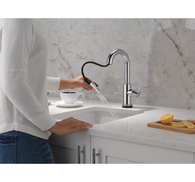 Robinet de bar rétractable tactile Trinsic, Chrome chrome