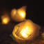 Dov LED Natural Leaf Rose String Light-89691162