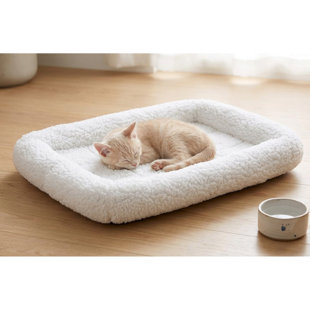 Lit en molleton blanc pour chats et petits chiens, lit de traversin souple, tapis de couchage moelleux lavable, lit d'intérieur douillet pour chiot, chaton, cage et transporteur de 21,75 po x 15 po x 2 po