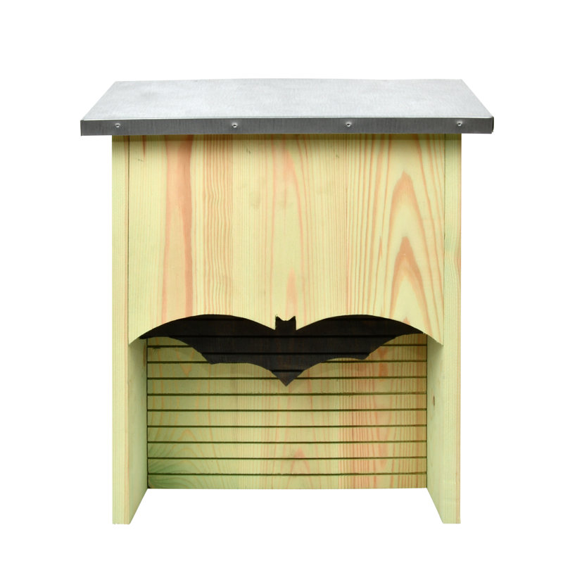 Hoya Mounted Bat House